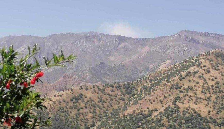 İşgalci Türk devleti Asos ve Helgurd dağlarını bombaladı – Yenilendi