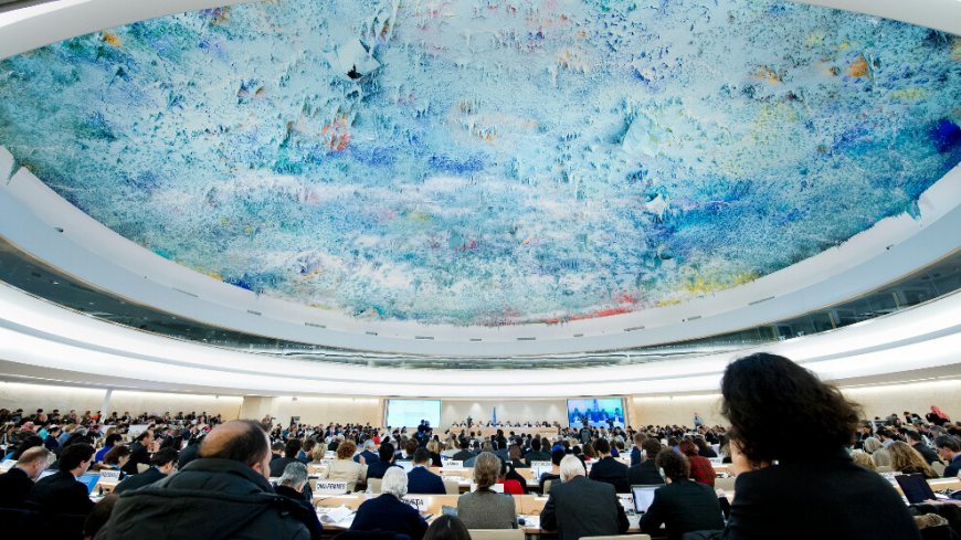 BM 56. İnsan Hakları oturumlarında İmralı’ya heyet gönderme talebi