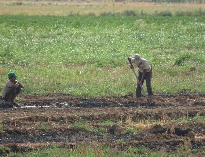 Girê Spî Tarım Müdürlüğü’nden çiftçilere destek