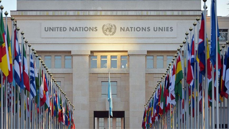 Türk devletinden BM’ye ‘İmralı’ cevabı: Tecrit yok, yasak var!